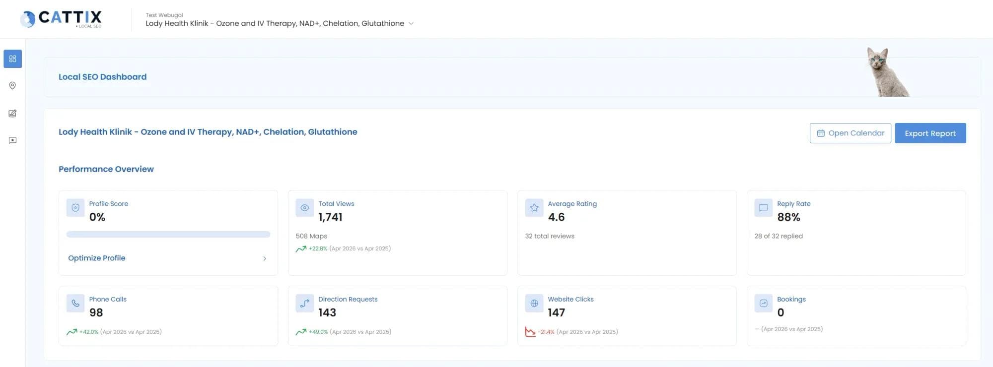 CATTIX Local SEO dashboard showing Google Business Profile performance overview with year-over-year metric comparisons