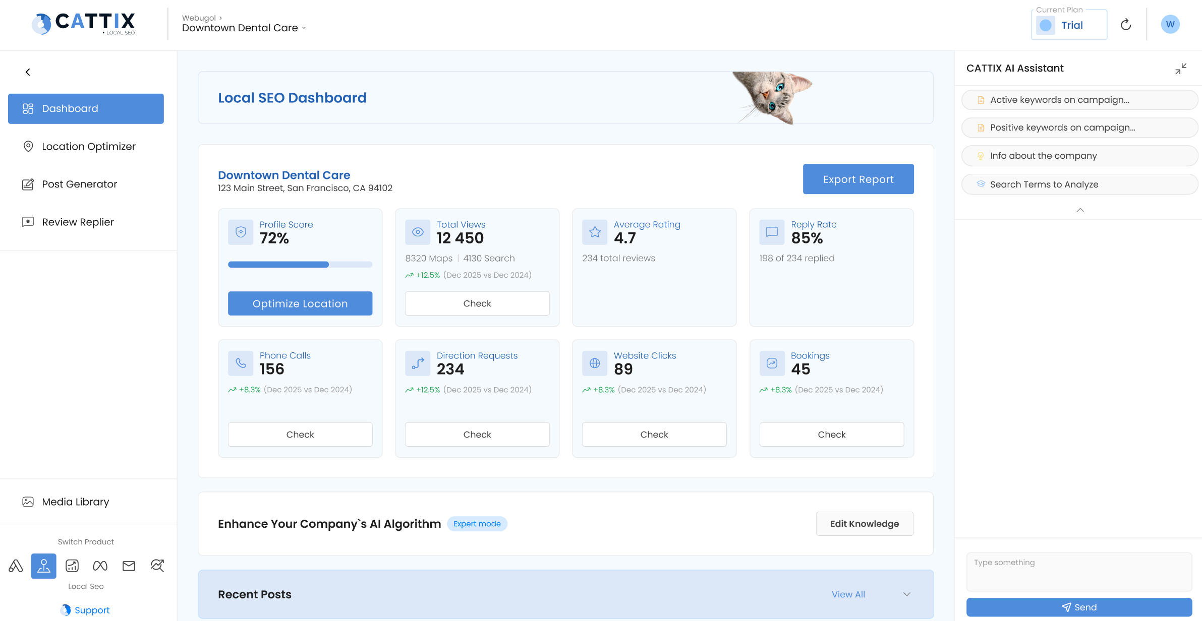 CATTIX Local SEO Dashboard showing automated performance tracking with views, calls, and review metrics