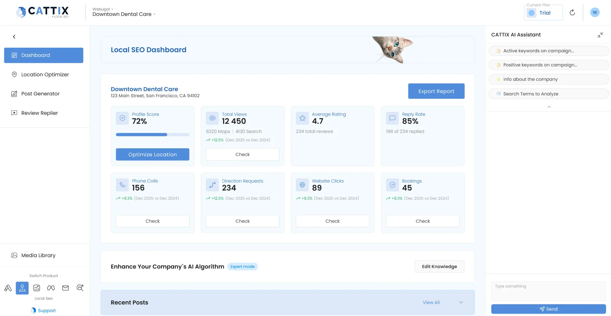 CATTIX local SEO dashboard showing review and profile performance