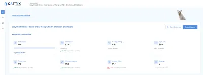 CATTIX Local SEO dashboard showing Google Business Profile performance overview with year-over-year metric comparisons