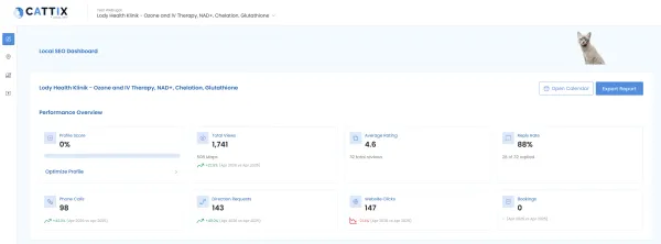 CATTIX Local SEO dashboard showing Google Business Profile performance overview with year-over-year metric comparisons