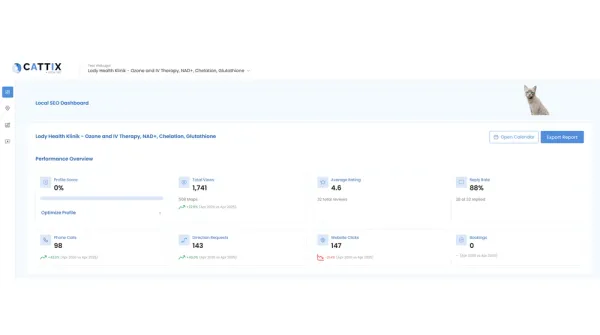 CATTIX Local SEO Dashboard showing performance overview with views, calls, rating, and review reply rate metrics